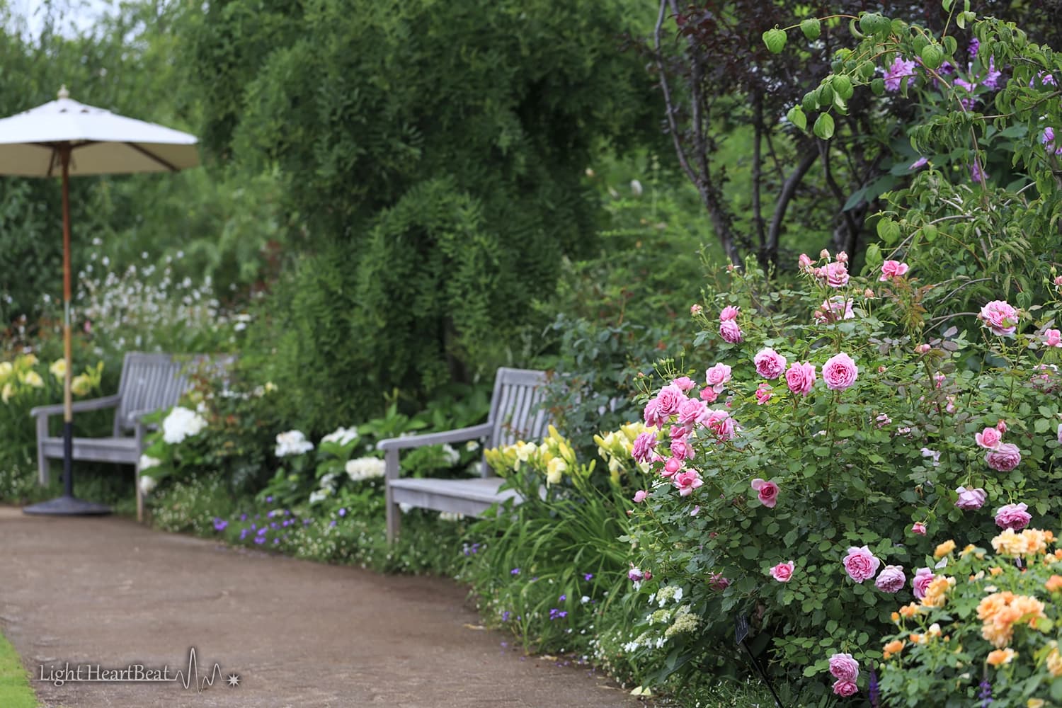 美しい庭園の風景